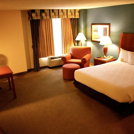 Hilton Garden Inn Albany Exterior photo