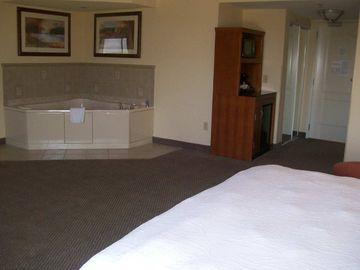 Hotel Hilton Garden Albany