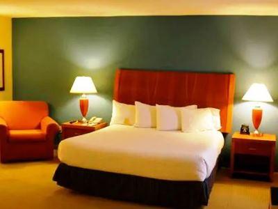 Hilton Garden Hotel 3*